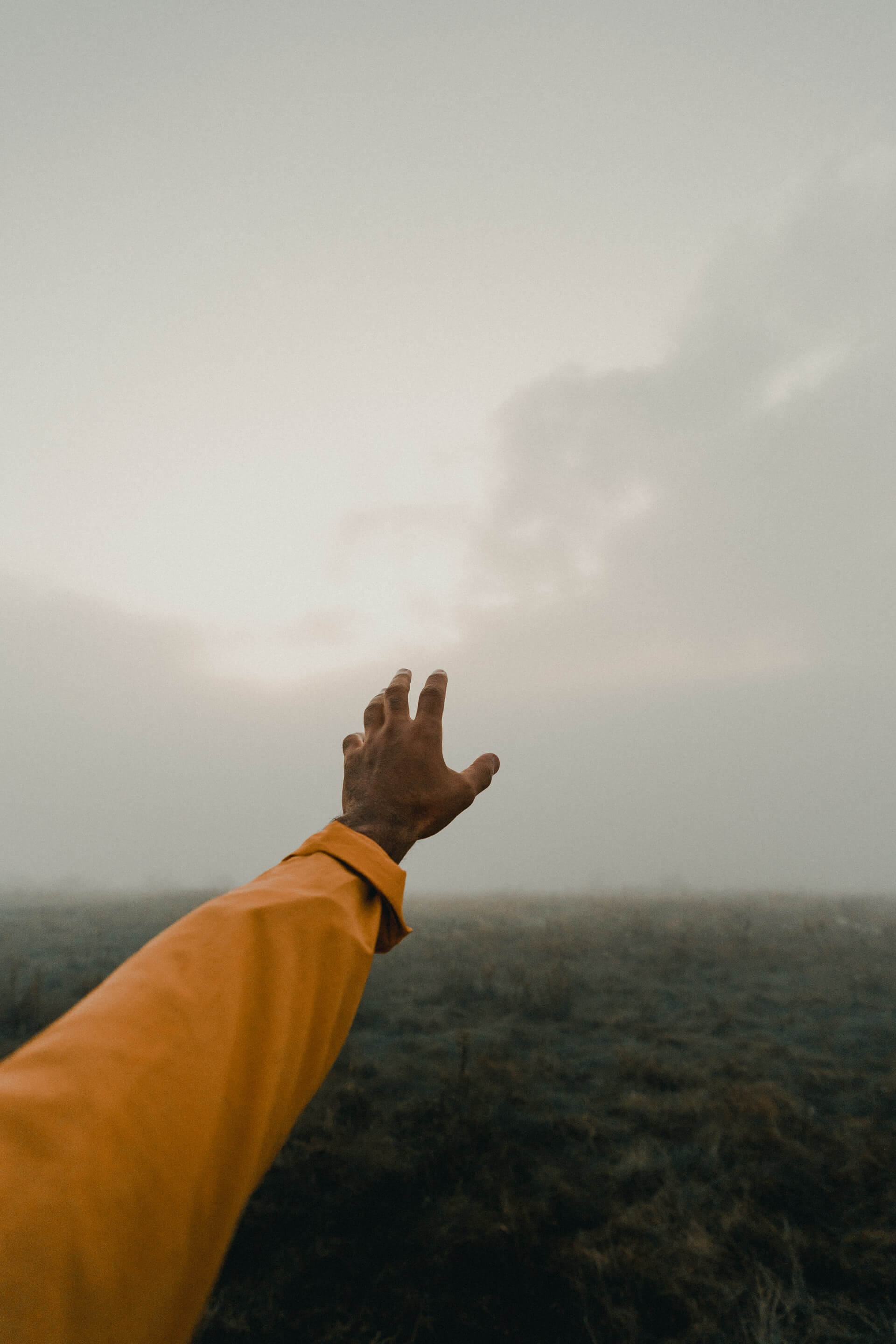 Ahand reaching out.